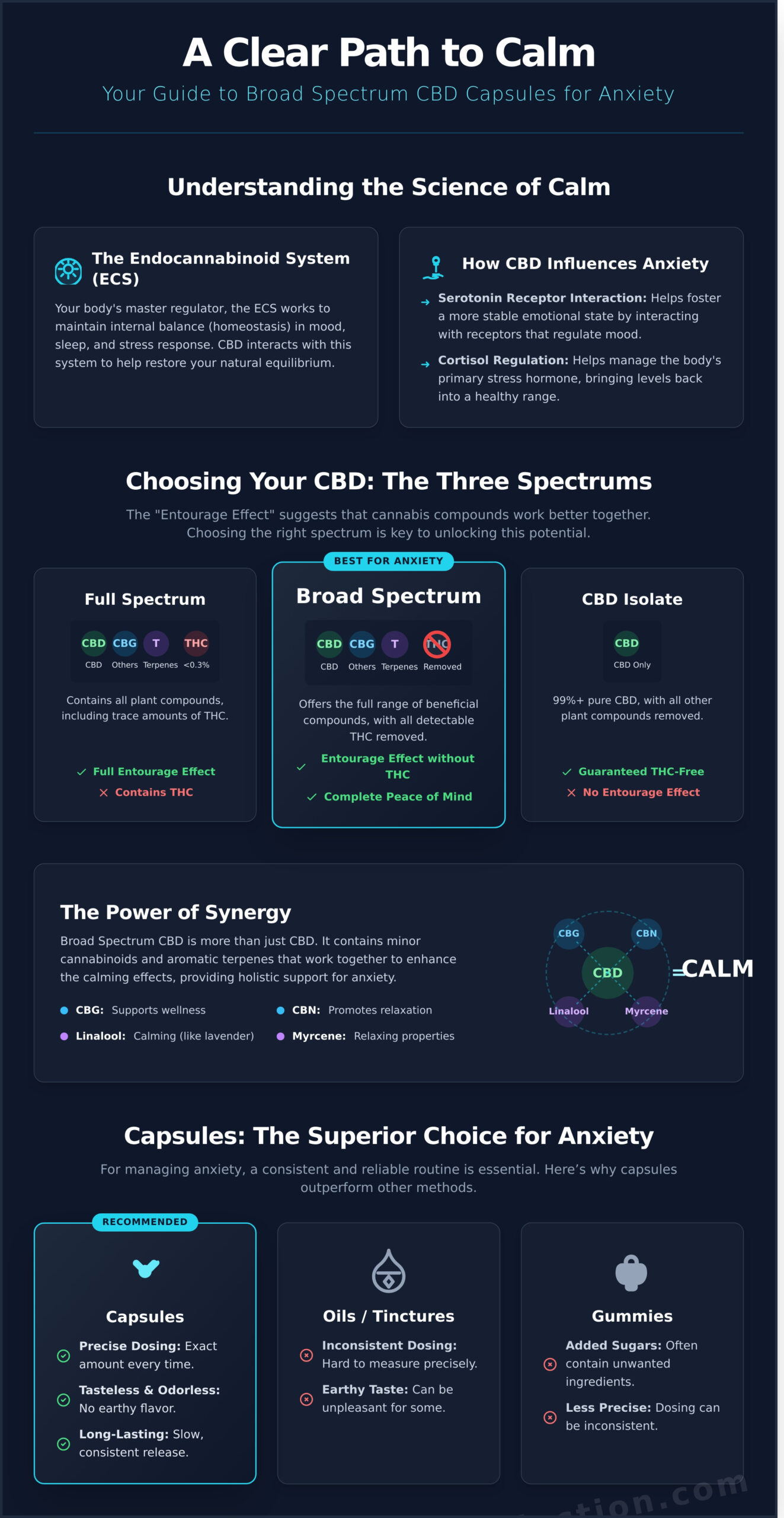 Broad Spectrum CBD Capsules for Anxiety: Your Complete Guide to Finding Calm - Infographic