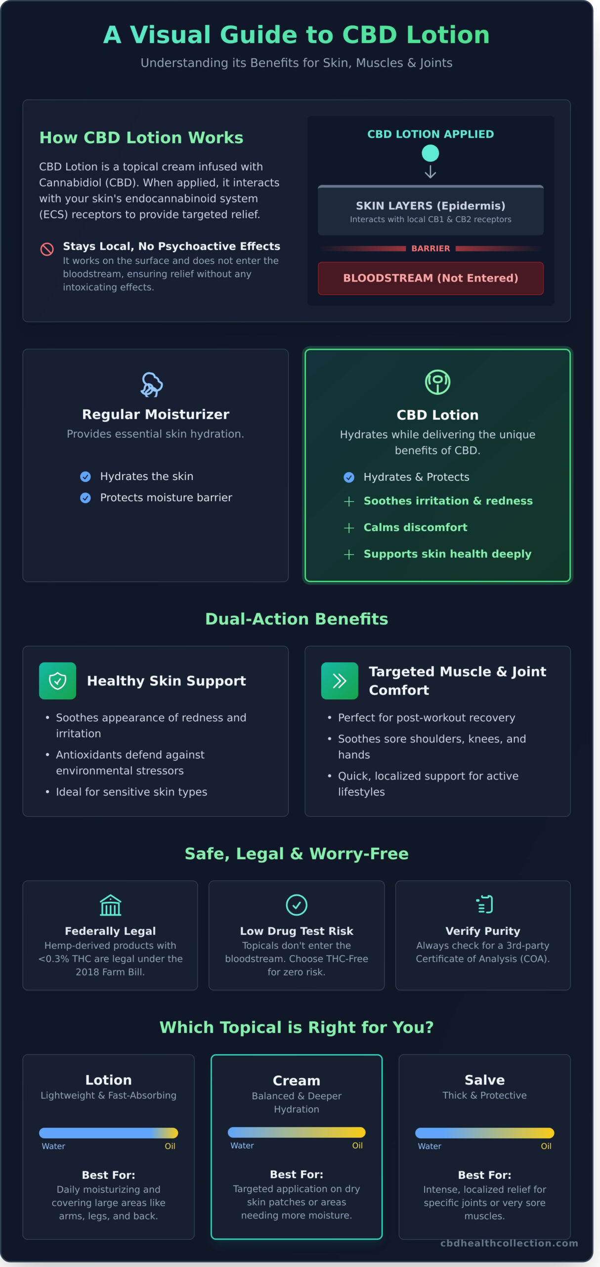 CBD Lotion Explained: A Complete Guide to Soothing Your Skin - Infographic