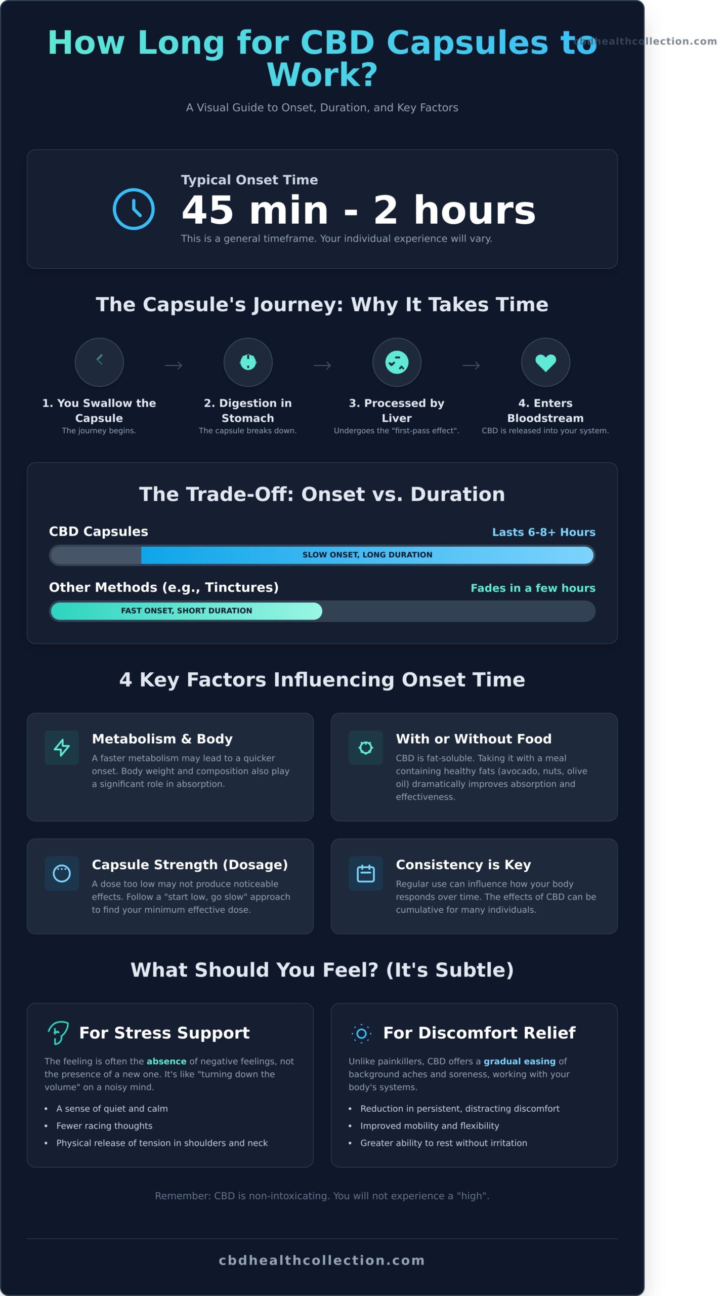 How Long for CBD Capsules to Work? A Clear & Simple Guide - Infographic