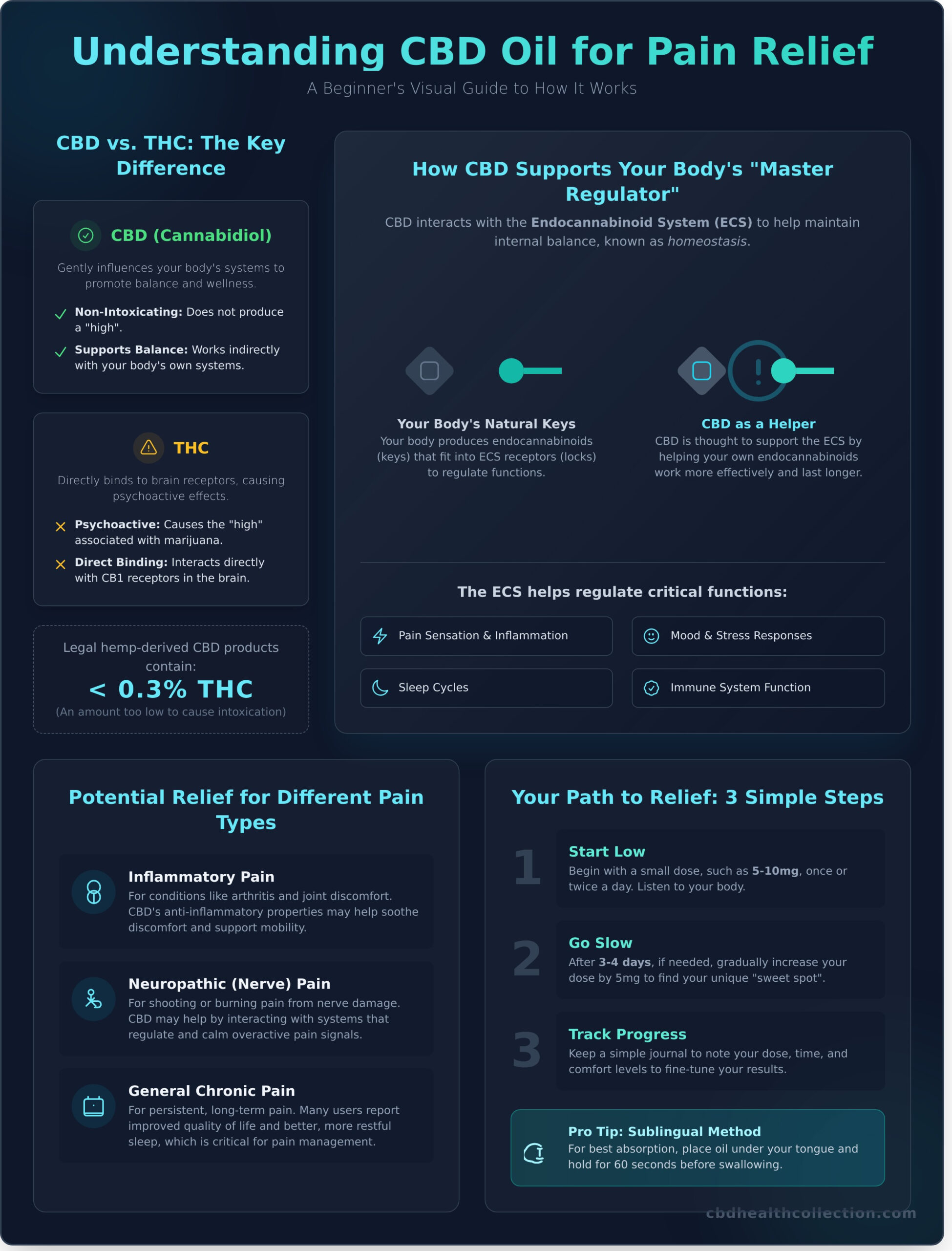 Using CBD Oil for Pain: A Beginner’s Guide to Natural Relief - Infographic