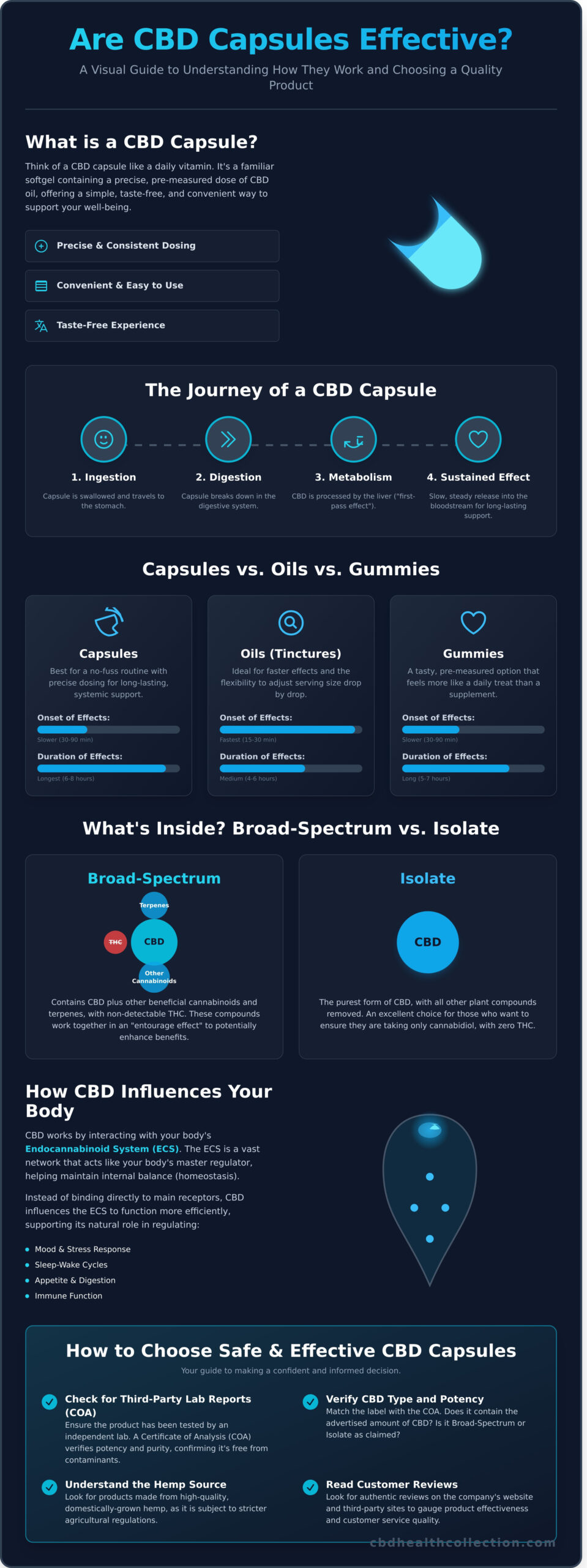 Are CBD Capsules Effective? A Practical Guide to How They Work - Infographic