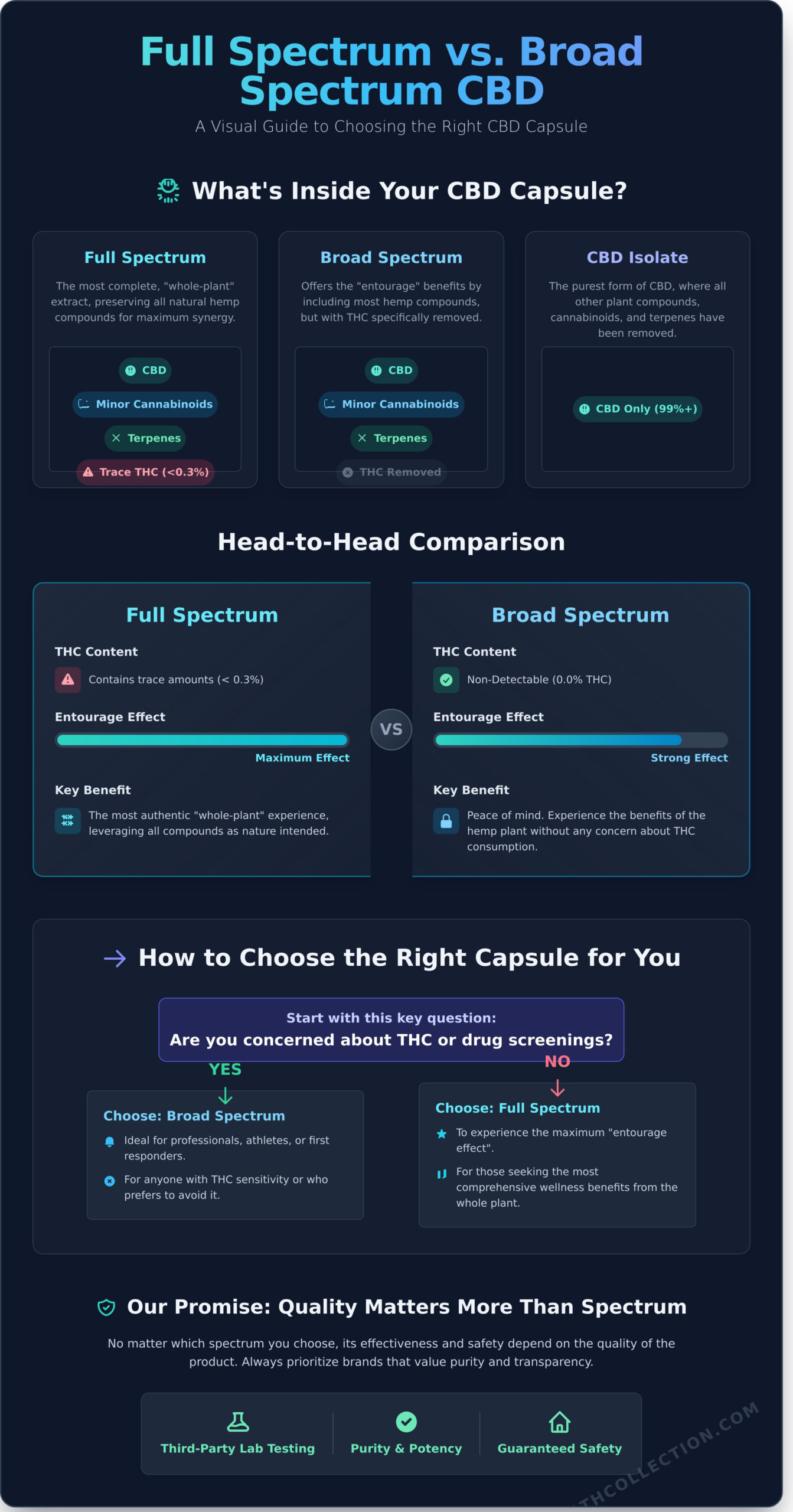 Full Spectrum vs. Broad Spectrum CBD Capsules: Which Is Right for You? - Infographic