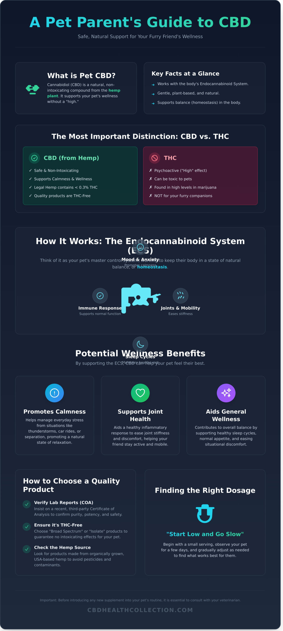 Your Pet’s Wellness: A Complete Guide to CBD for Pets - Infographic