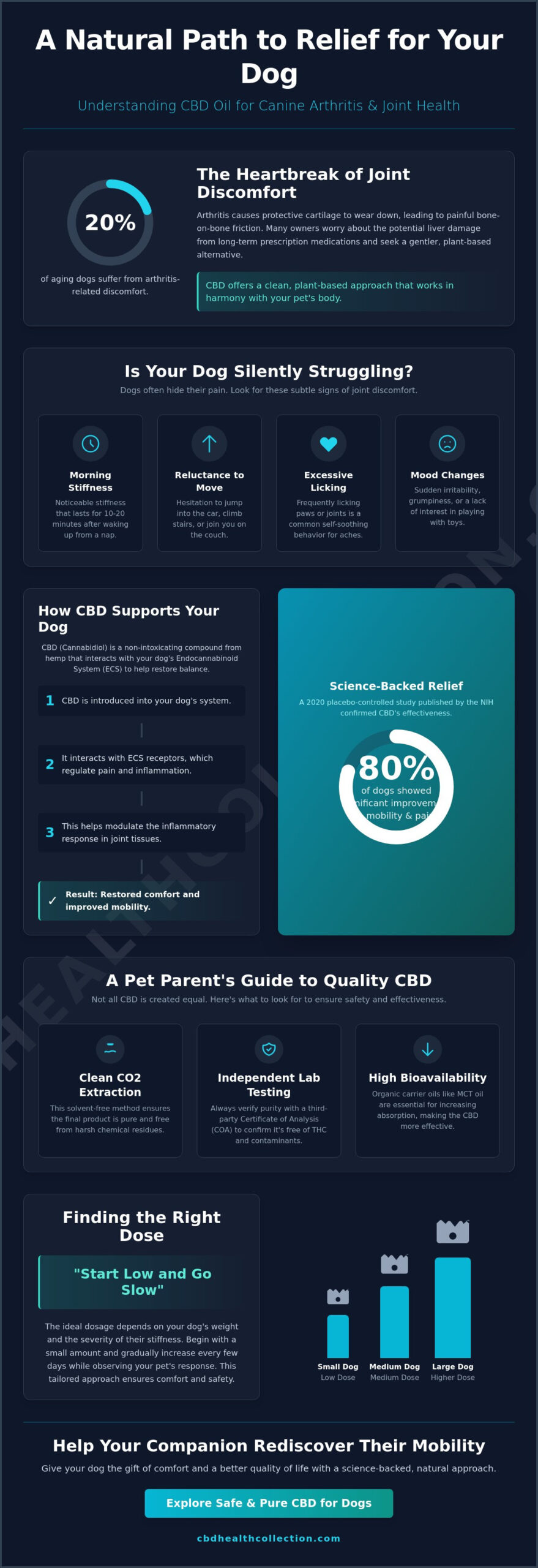 CBD Oil for Dogs with Arthritis: A Natural Guide to Mobility and Comfort