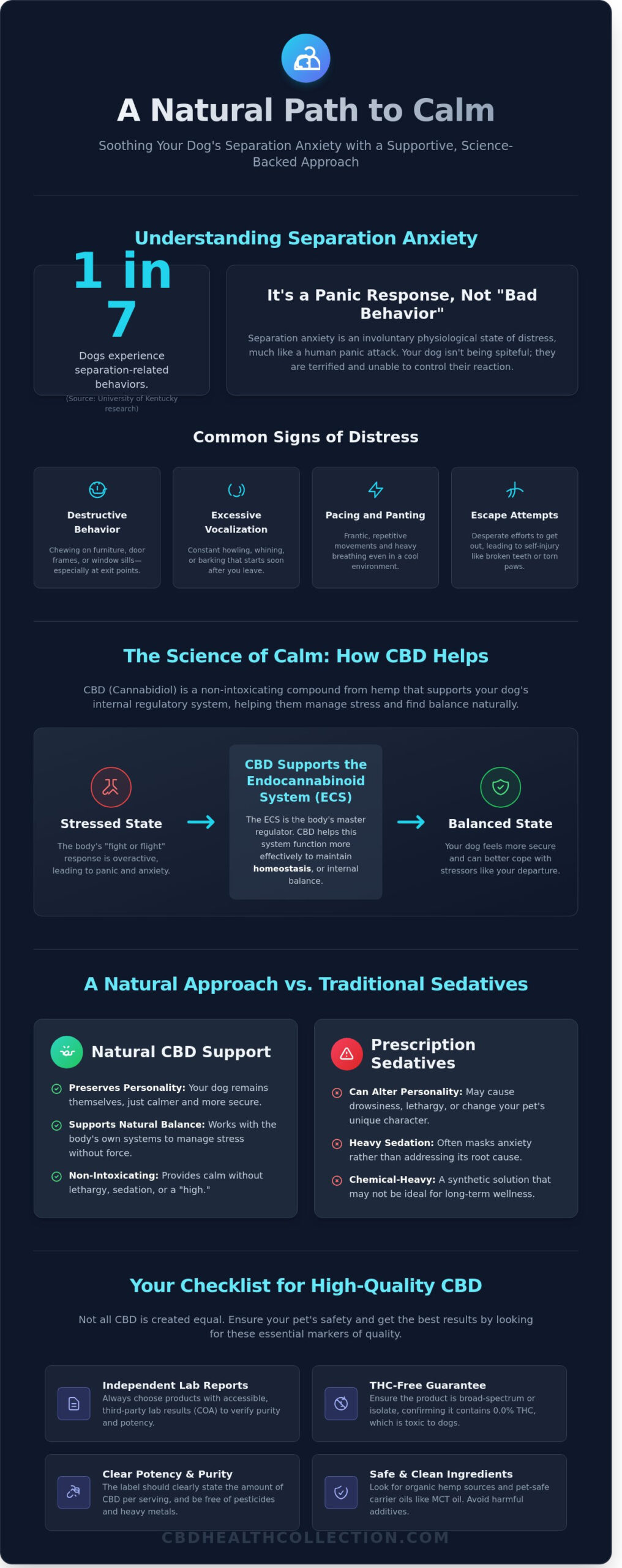 CBD for Dogs with Separation Anxiety: A Complete Guide to Restoring Calm