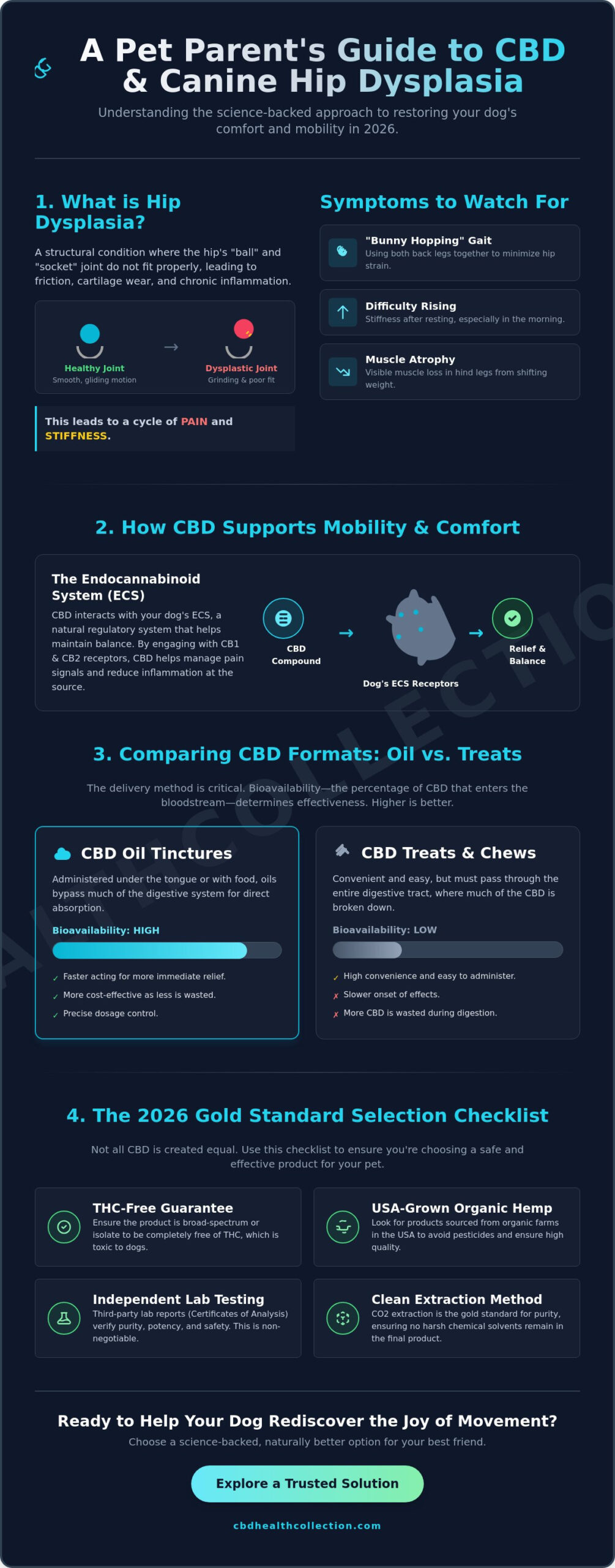 Best CBD for Dogs with Hip Dysplasia: A 2026 Guide to Comfort and Mobility