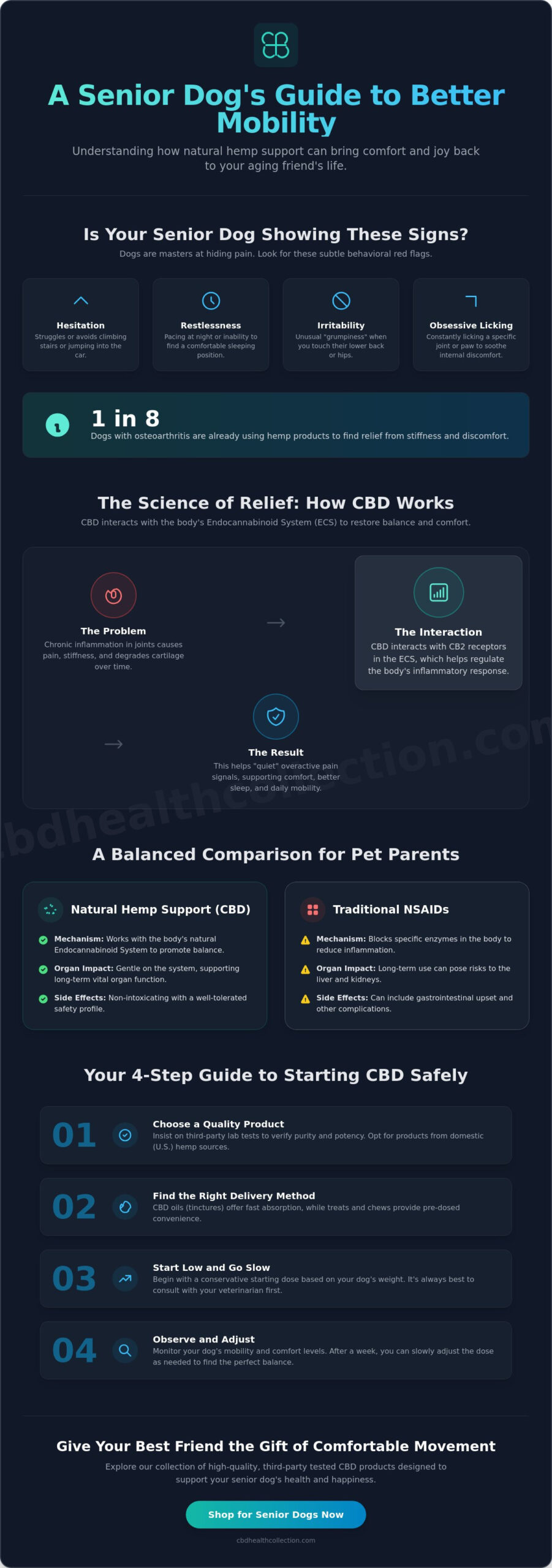 CBD for Senior Dogs Mobility: A Compassionate Guide to Natural Support