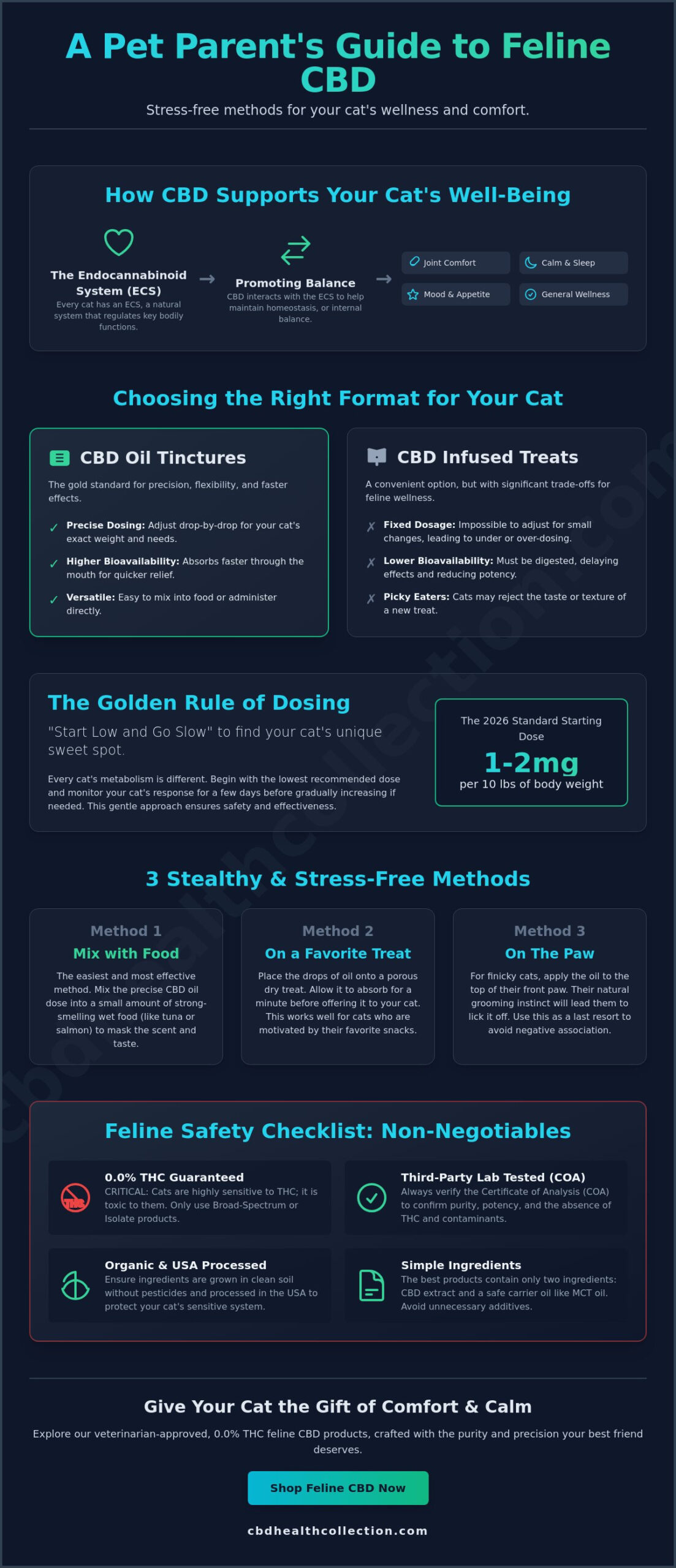 The Best Way to Administer CBD to a Cat: A Stress-Free Guide for Pet Parents