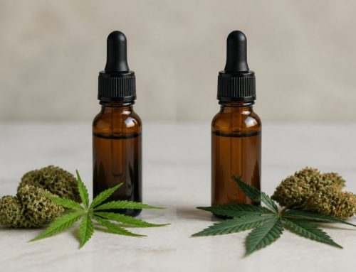 CBD vs THC Effects: Key Differences Explained