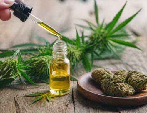 What Is the Endocannabinoid System: A Complete Guide