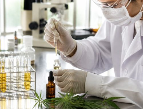 Long Term CBD Safety Study: What Research Shows in 2026